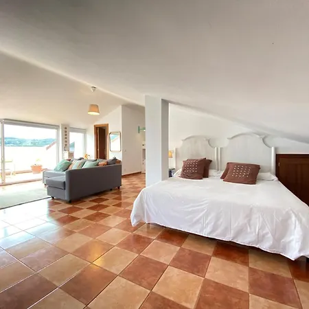 Buganvilla